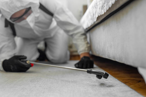 Professional Bed Bug Control technician working in Rainsville, AL