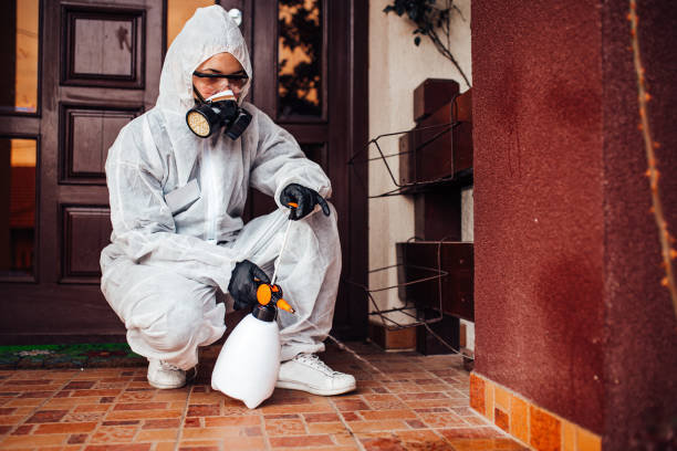 Reliable Bed Bug Control contractor in Rainsville, AL by Nex Pest Control