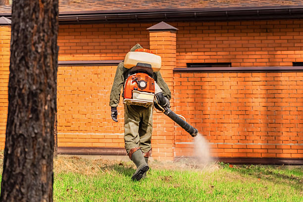 Trusted Rodent Control service in Rainsville, AL - Nex Pest Control